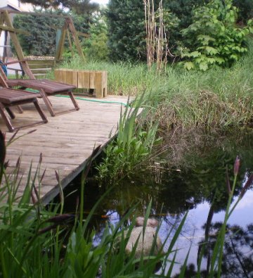 Terasse mit Teich